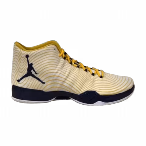 Air Jordan 29 'Michigan Wolverines' PE