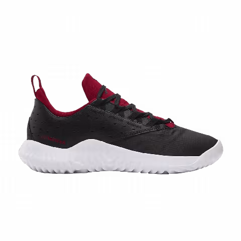 Air Jordan Proto-Lyte 'Black Gym Red'