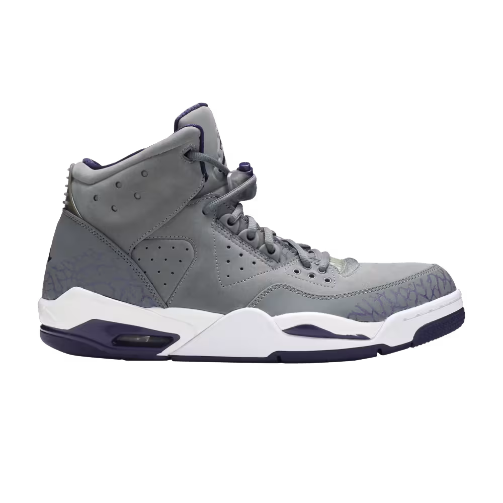 Air Jordan Rare Air Cool Grey