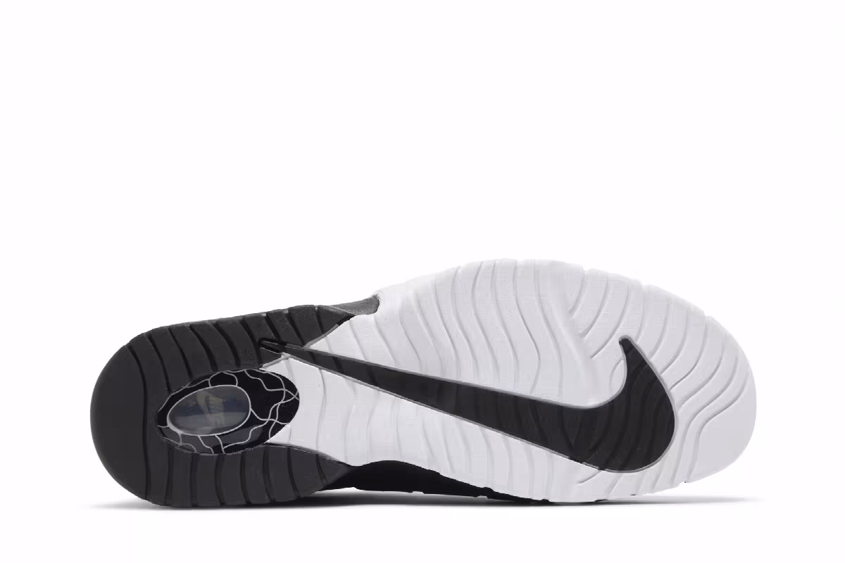 Nike Air Max Penny 1 Tiger Stripes, view 5