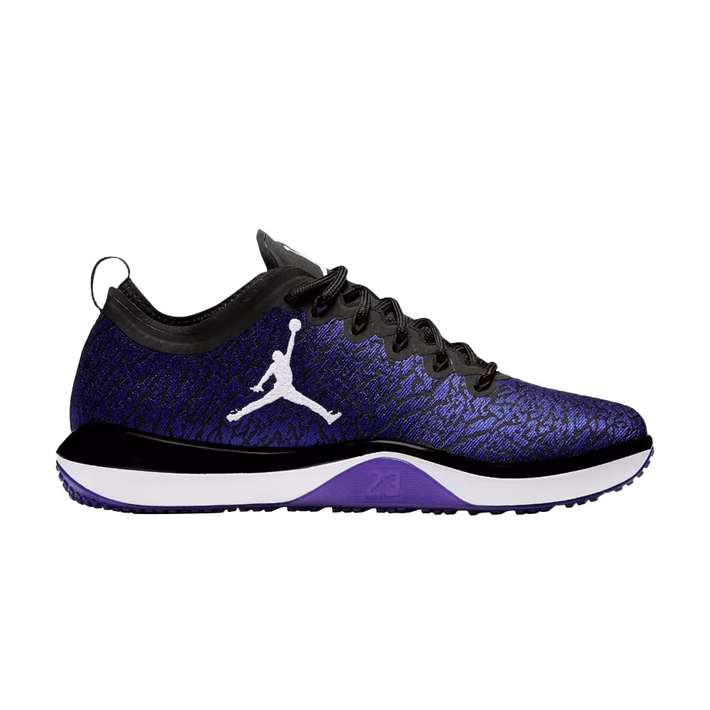 Air Jordan Trainer 1 Space Jam