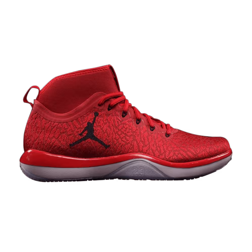 Air Jordan Trainer 1