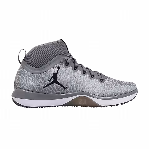 Air Jordan Trainer 1