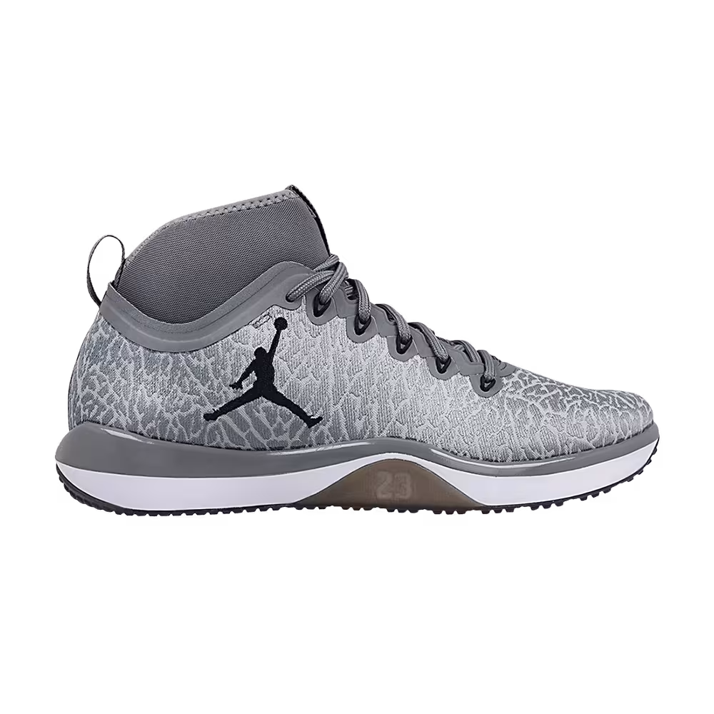 Air Jordan Trainer 1