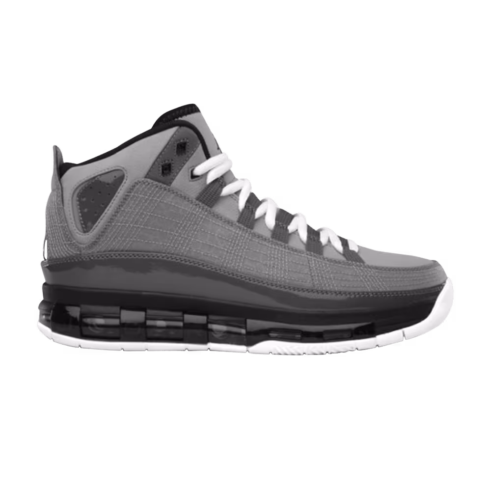 Air Jordan Take Flight Stealth
