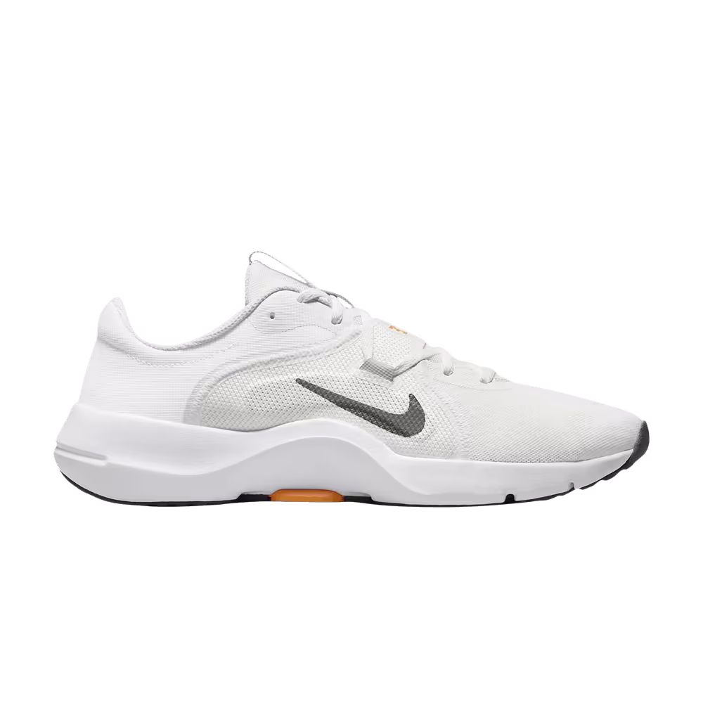 Nike In-Season TR 13 Light Silver Iron Grey