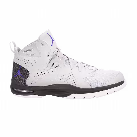 Air Jordan Ace 23 II 'Wolf Grey Dark Concord'