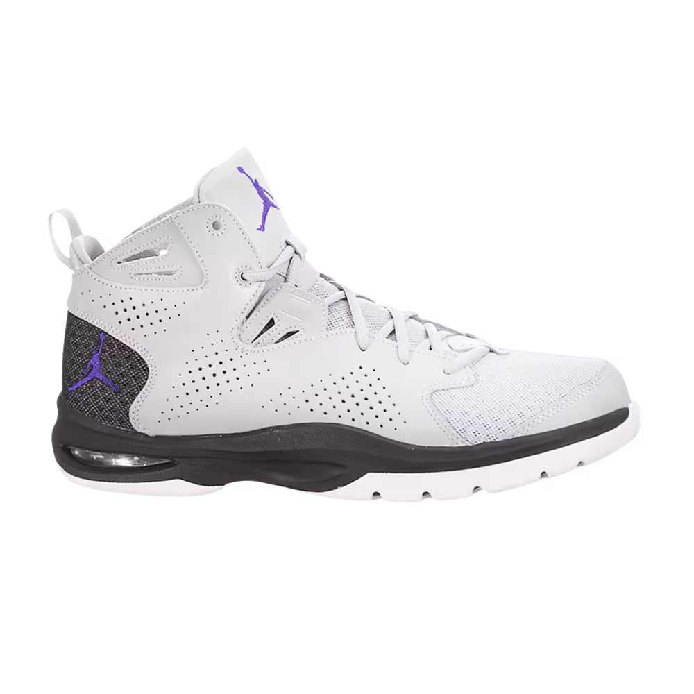 Air Jordan Ace 23 II Wolf Grey Dark Concord