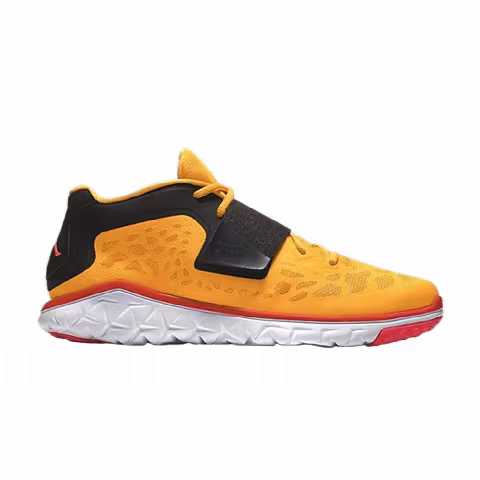Air Jordan Flight Flex Trainer 2