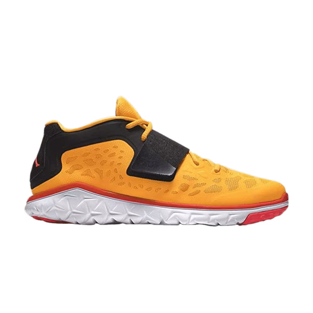 Air Jordan Flight Flex Trainer 2