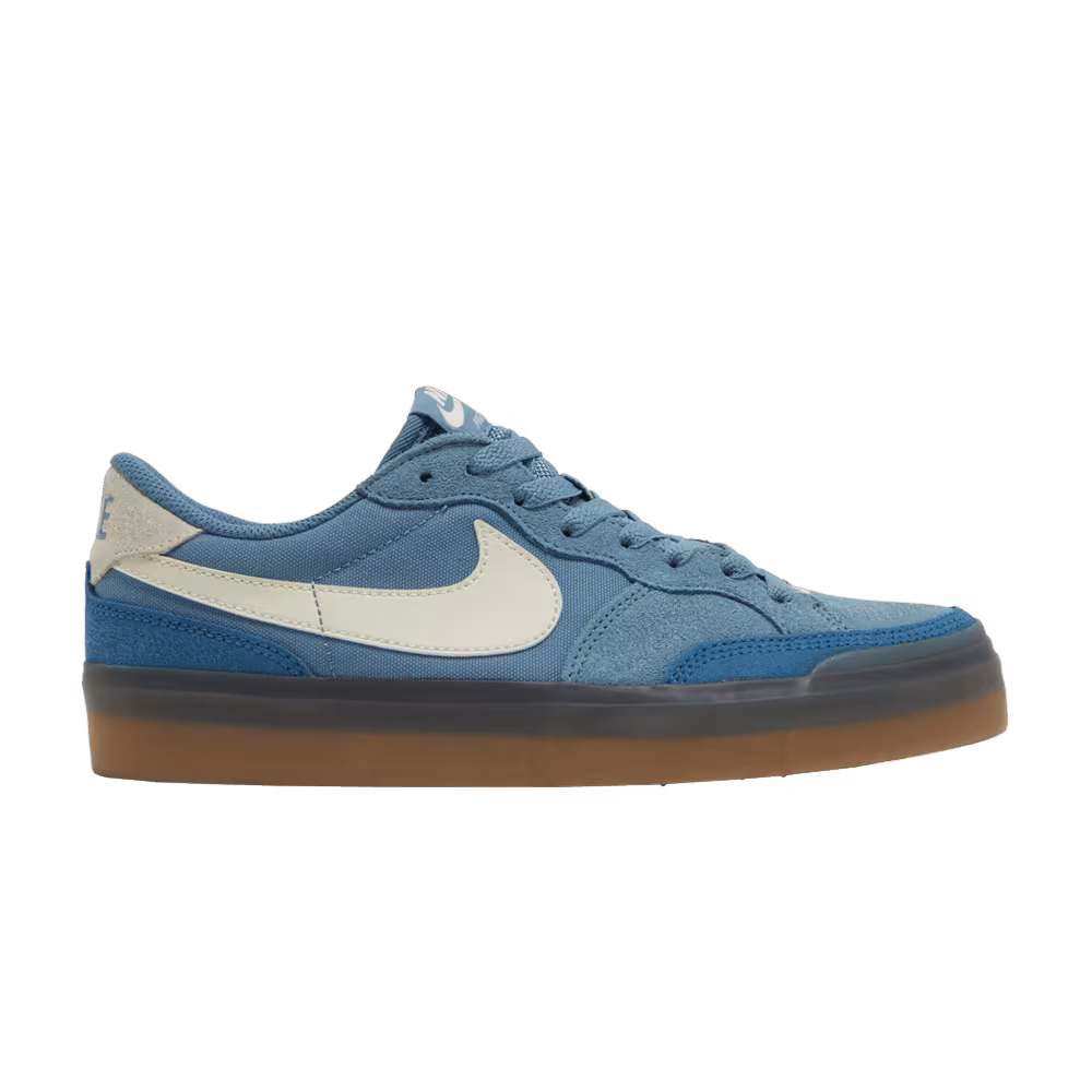 Nike Women's Zoom Pogo Plus SB Noise Aqua Gum