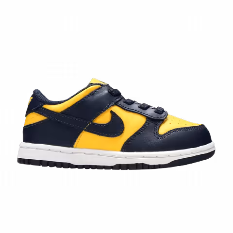 Nike Dunk Low TD 'Michigan' 2021