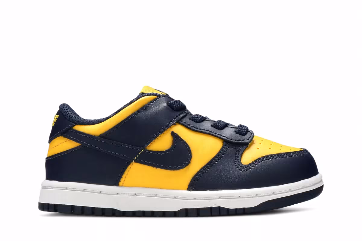 Nike Dunk Low TD Michigan 2021, view 2