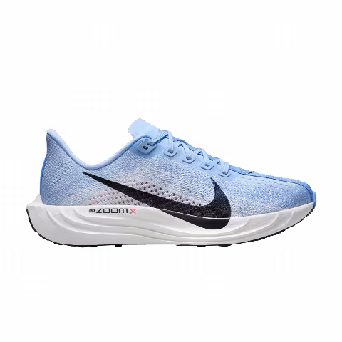 Nike Wmns Pegasus Plus 'Aluminum'