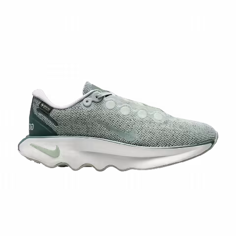 Nike Wmns Motiva GORE-TEX 'Light Silver'