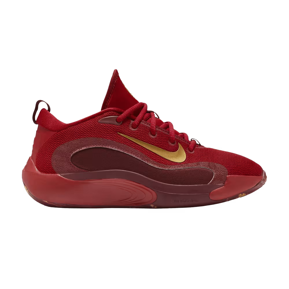 Nike IsoFly GS Gym Red Metallic Gold