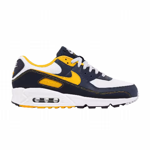 Nike Air Max 90 'Dunk From Above'