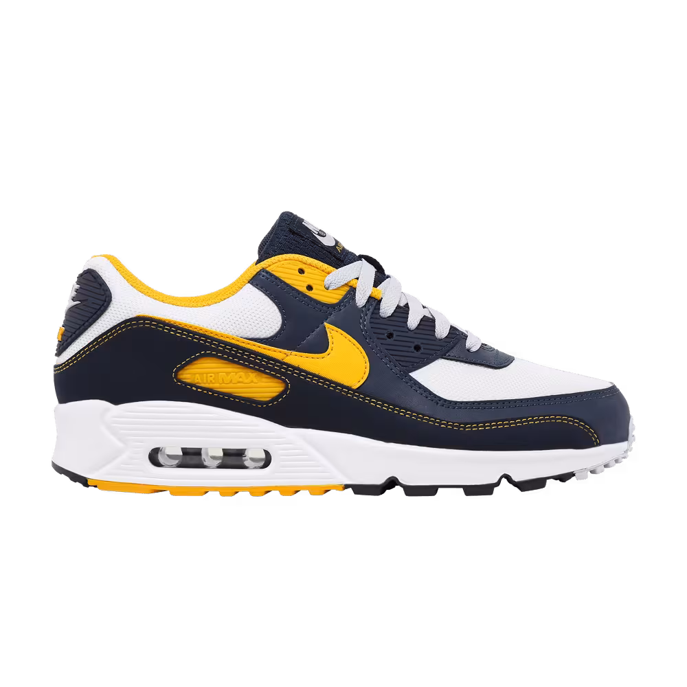 Nike Air Max 90 Dunk From Above