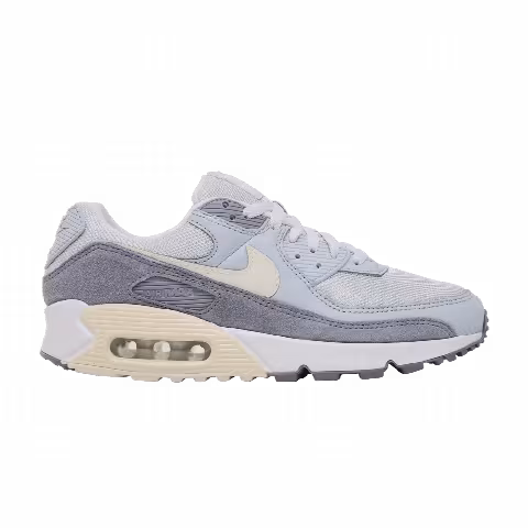 Nike Air Max 90 Premium 'Ashen Slate'