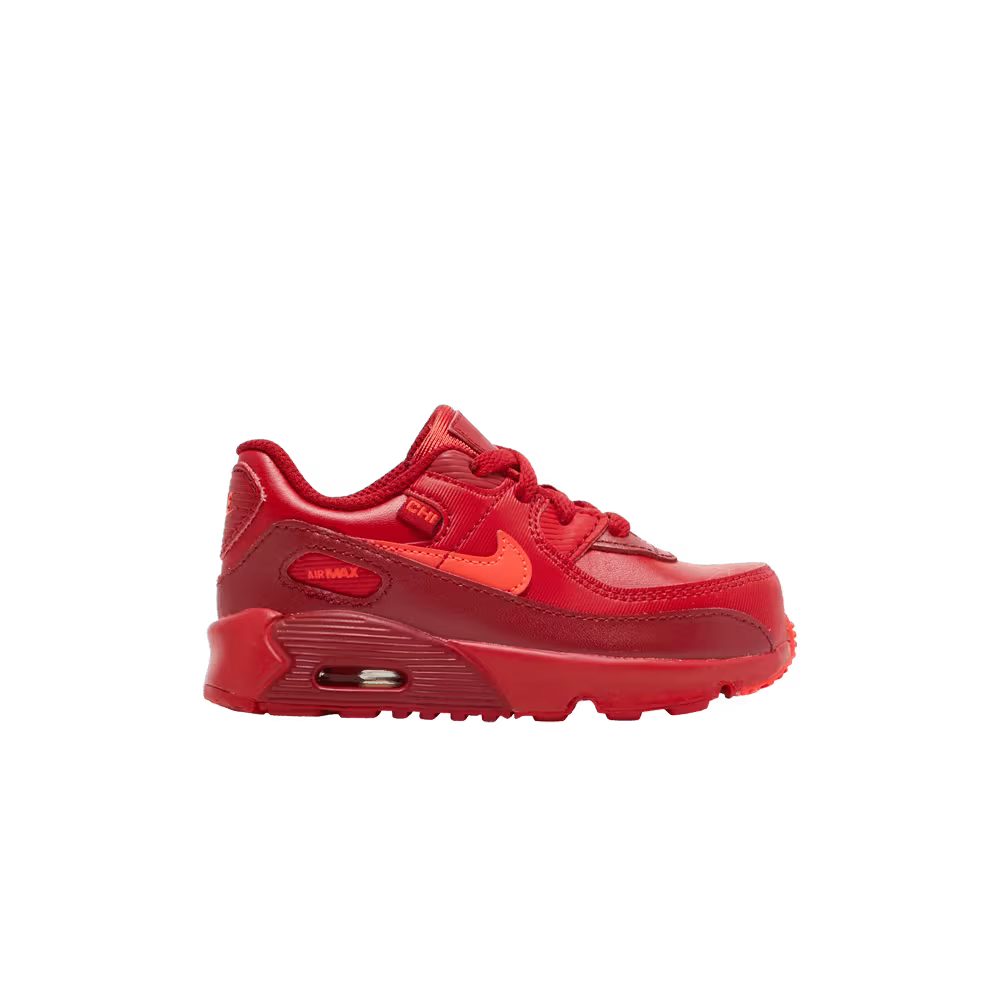 Nike Air Max 90 TD City Special - Chicago
