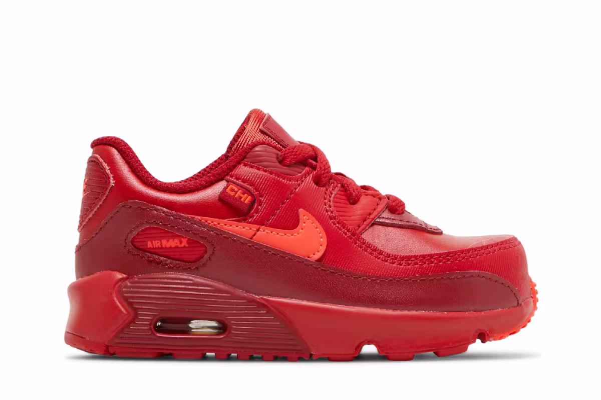 Nike Air Max 90 TD City Special - Chicago, view 2