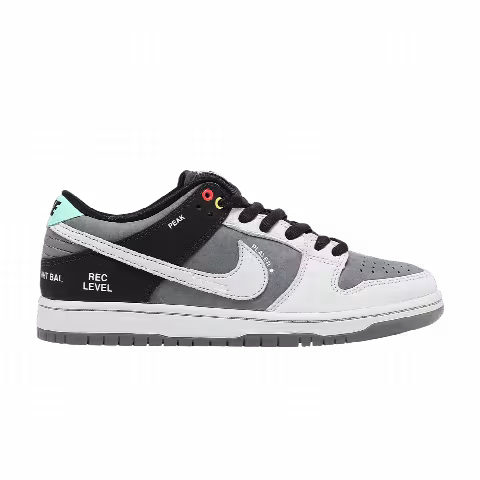 Nike Dunk Low SB 'Camcorder'