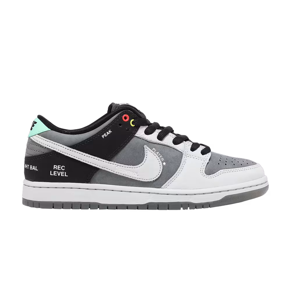 Nike Dunk Low SB Camcorder