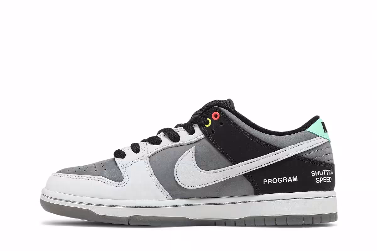 Nike Dunk Low SB Camcorder, view 4