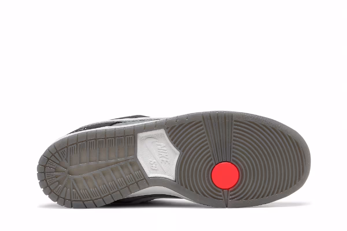 Nike Dunk Low SB Camcorder, view 5