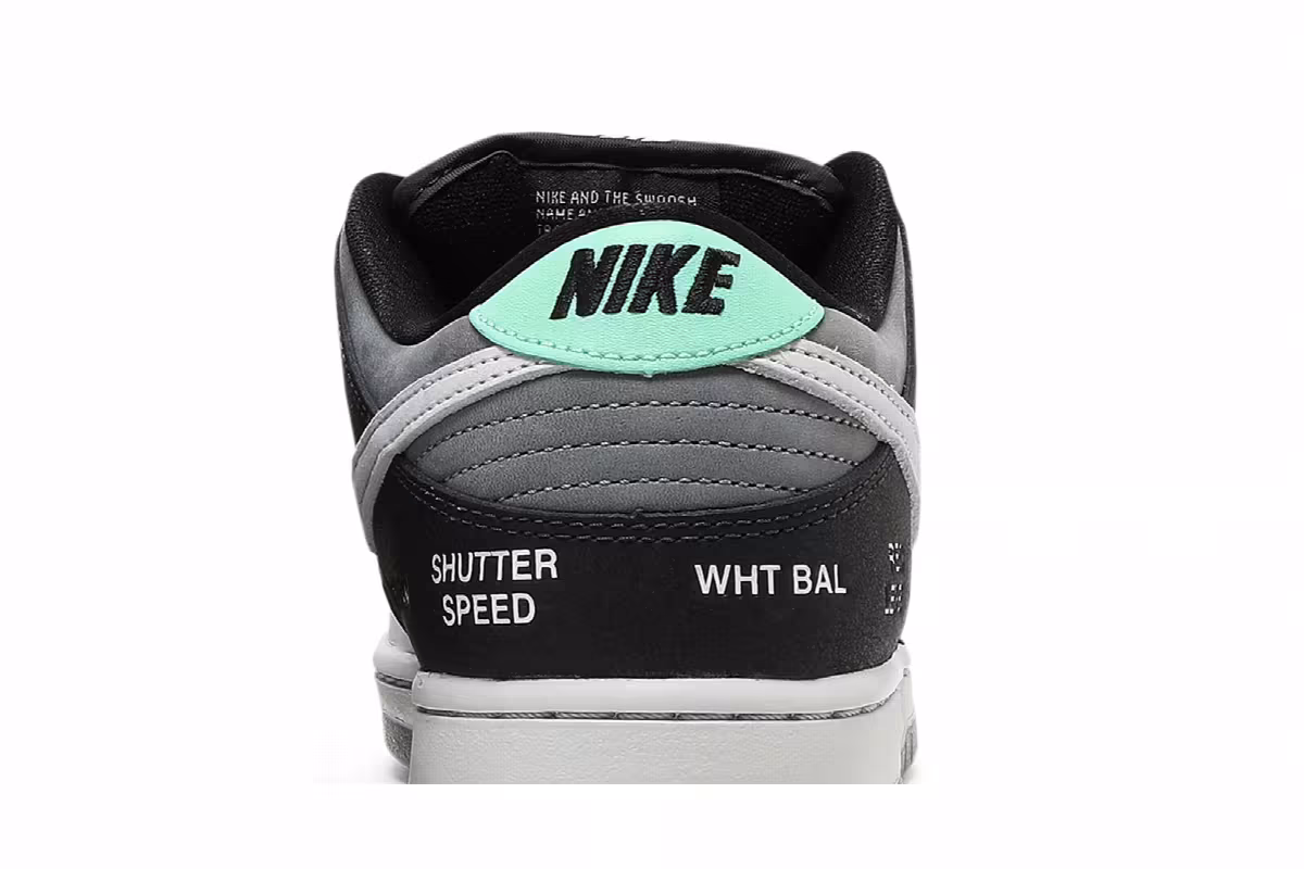 Nike Dunk Low SB Camcorder, view 8