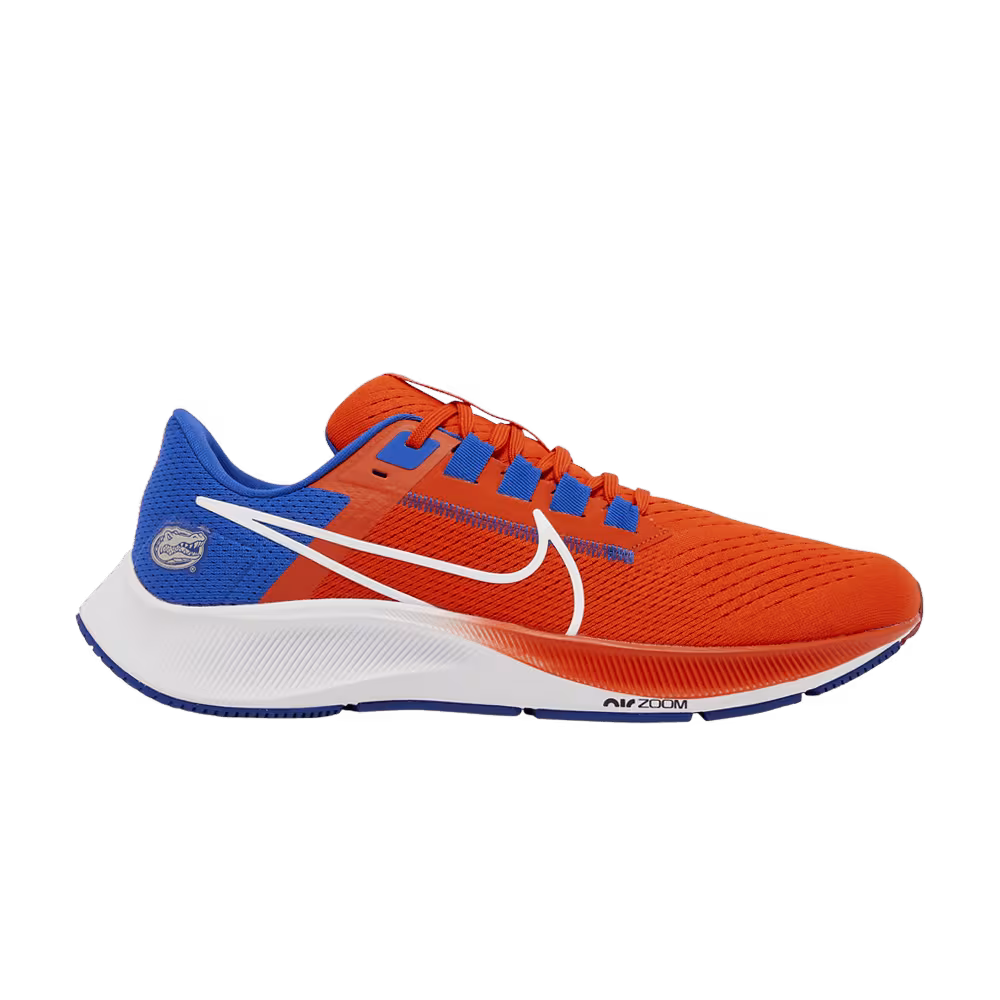 Nike Air Zoom Pegasus 38 Florida