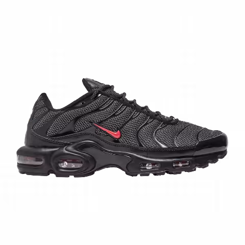 Nike Air Max Plus 'Bred Metal Mesh'