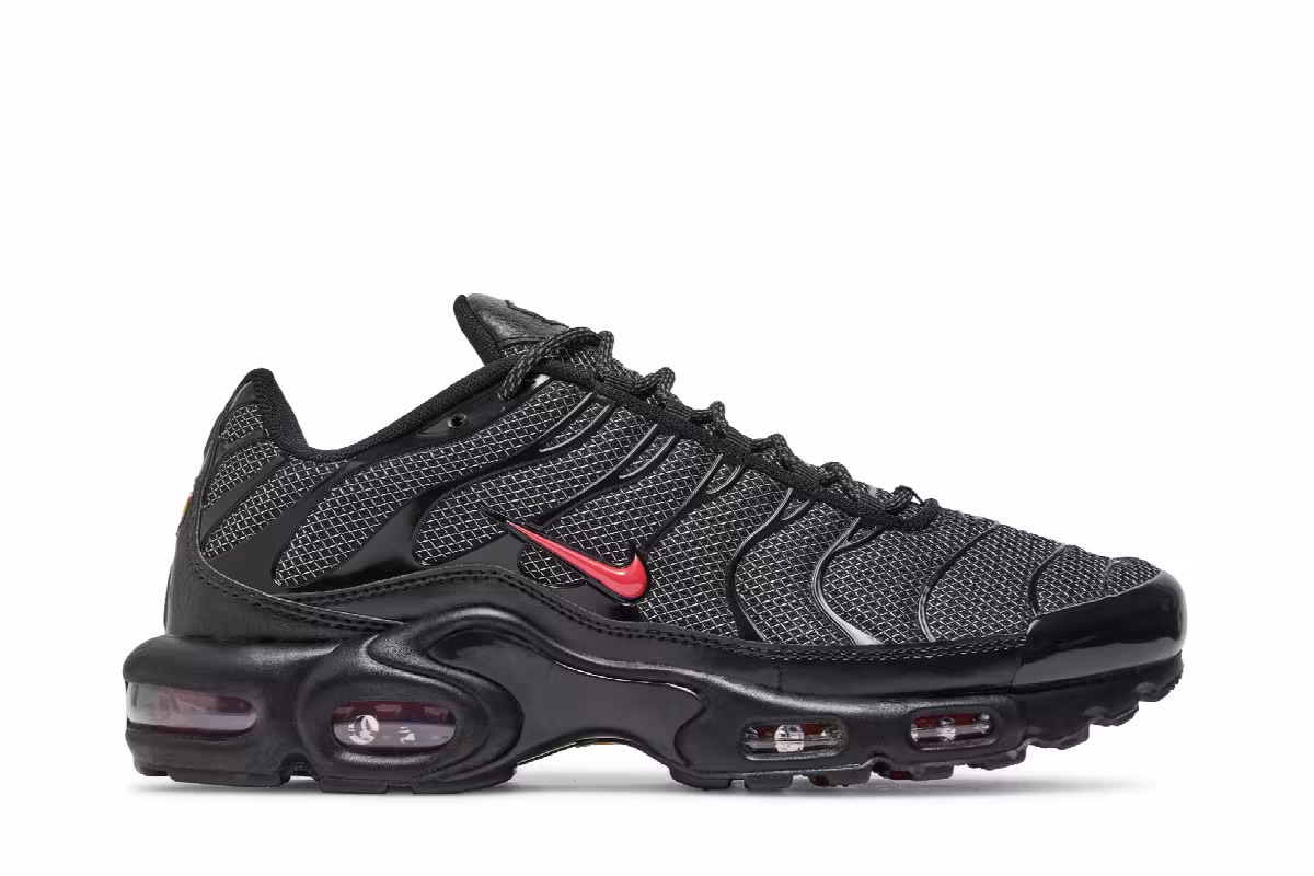 Nike Air Max Plus Bred Metal Mesh, view 2