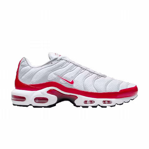 Nike Air Max Plus 'Air Max 1'