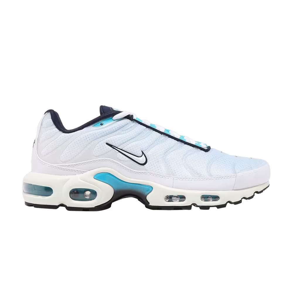 Nike Air Max Plus Psychic Blue
