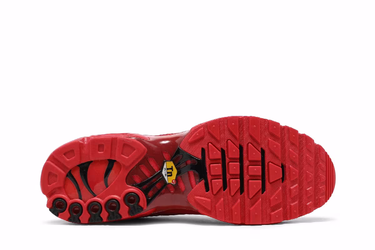 Nike Air Max Plus University Red, view 5