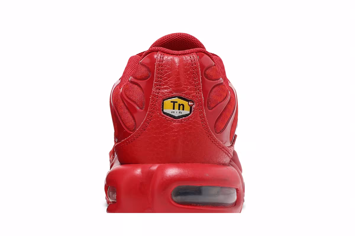 Nike Air Max Plus University Red, view 8