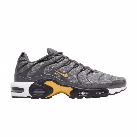 Nike Air Max Plus SE 'Iron Grey Metallic Gold'