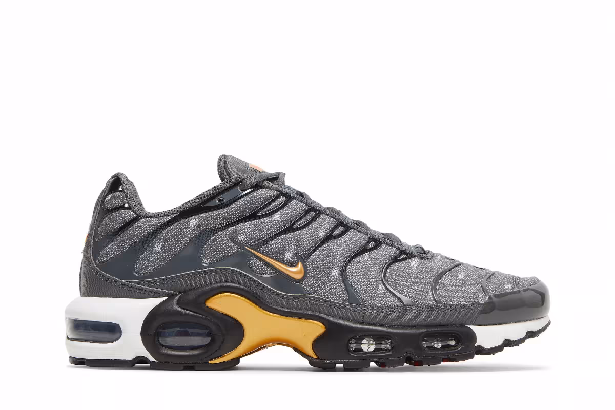 Nike Air Max Plus SE Iron Grey Metallic Gold, view 2
