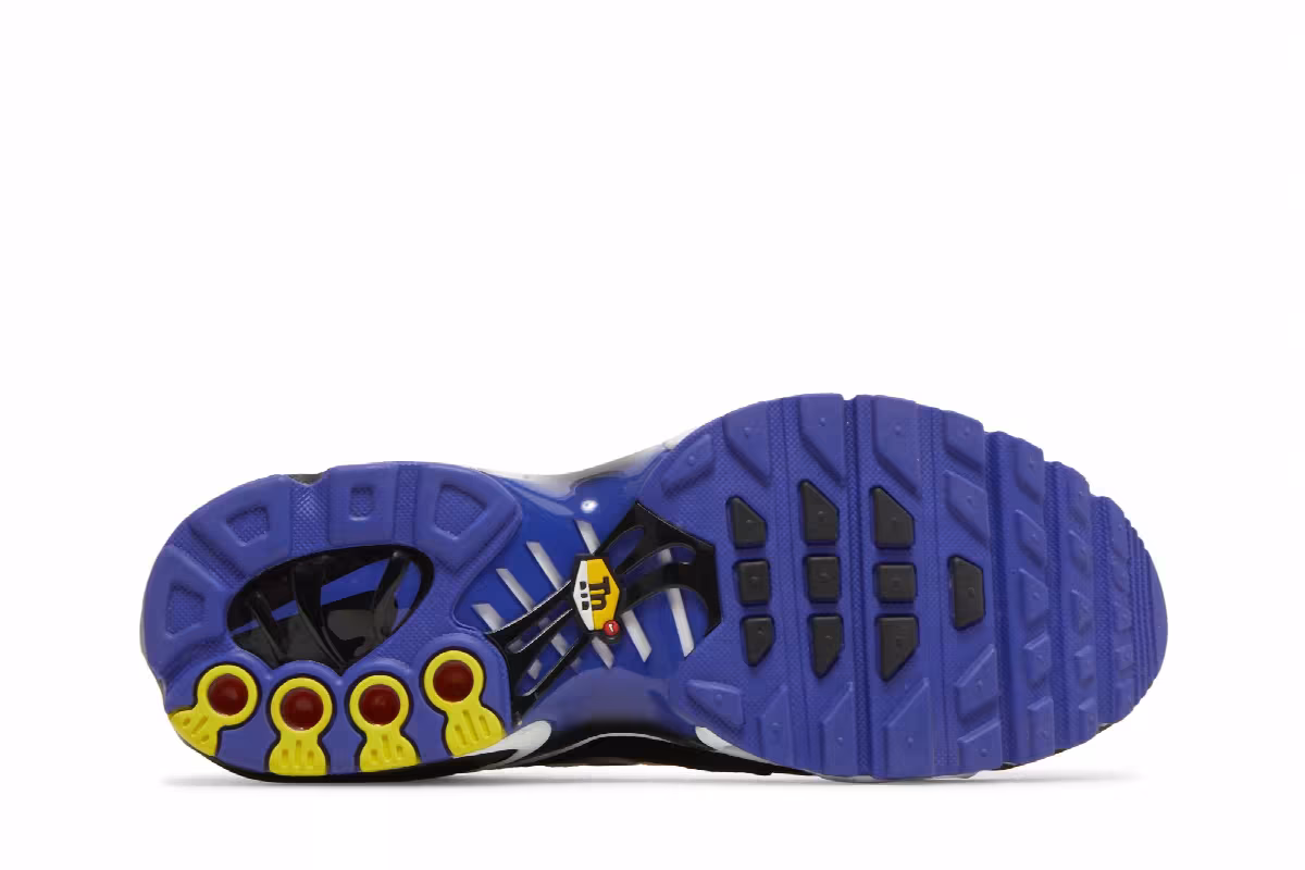 Nike Air Max Plus GS Persian Violet, view 5