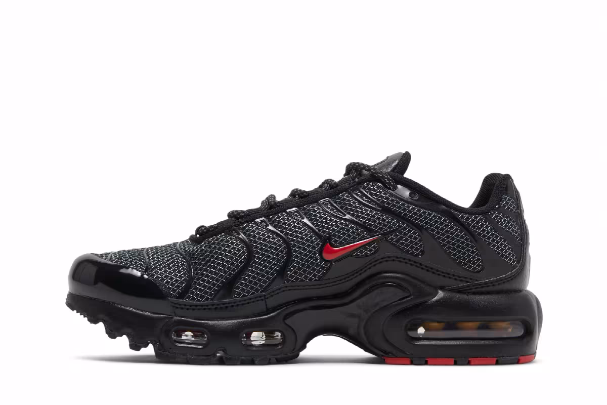 Nike Air Max Plus GS Bred, view 4