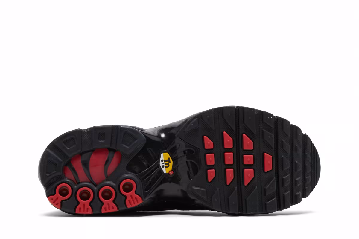 Nike Air Max Plus GS Bred, view 5