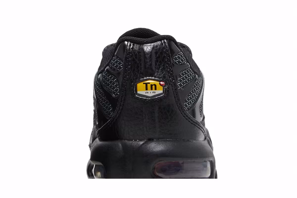 Nike Air Max Plus GS Bred, view 8