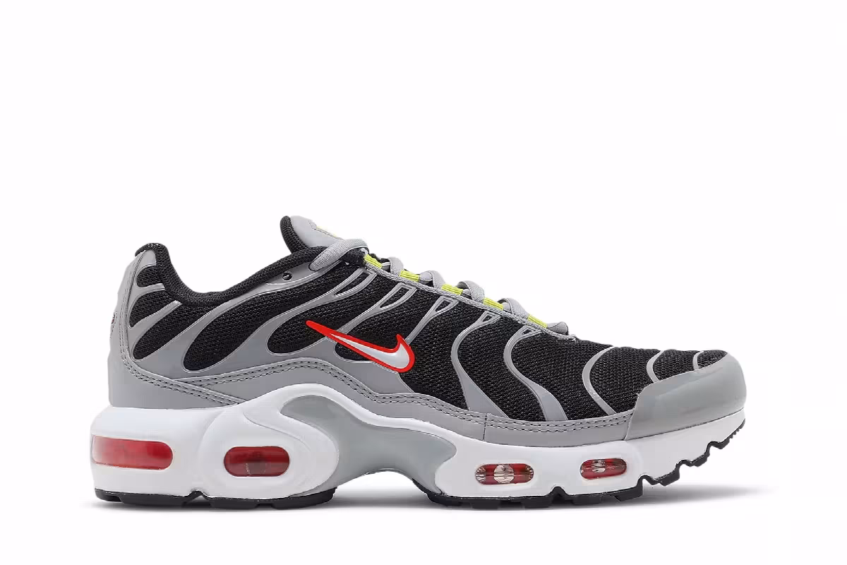 Nike Air Max Plus GS Dark Smoke Grey, view 2
