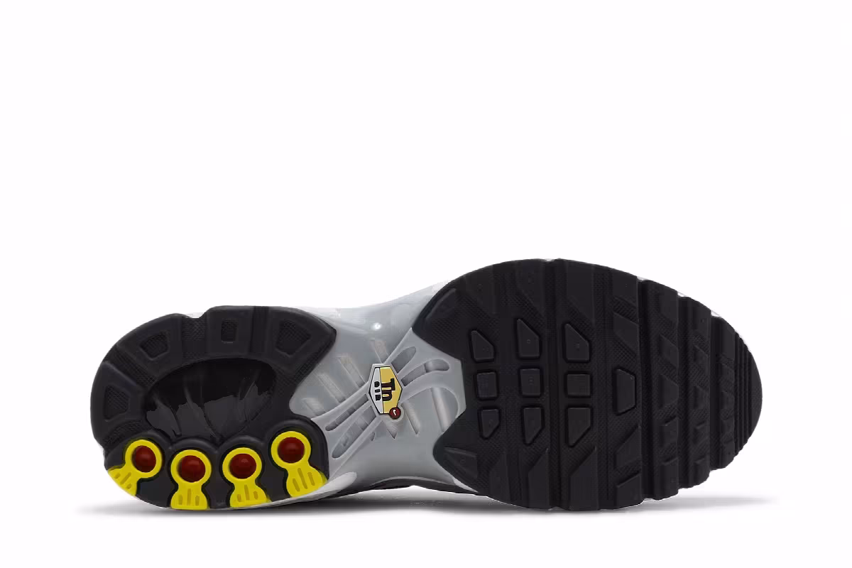 Nike Air Max Plus GS Dark Smoke Grey, view 5