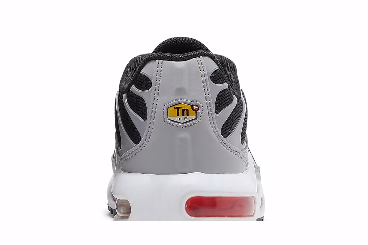 Nike Air Max Plus GS Dark Smoke Grey, view 8