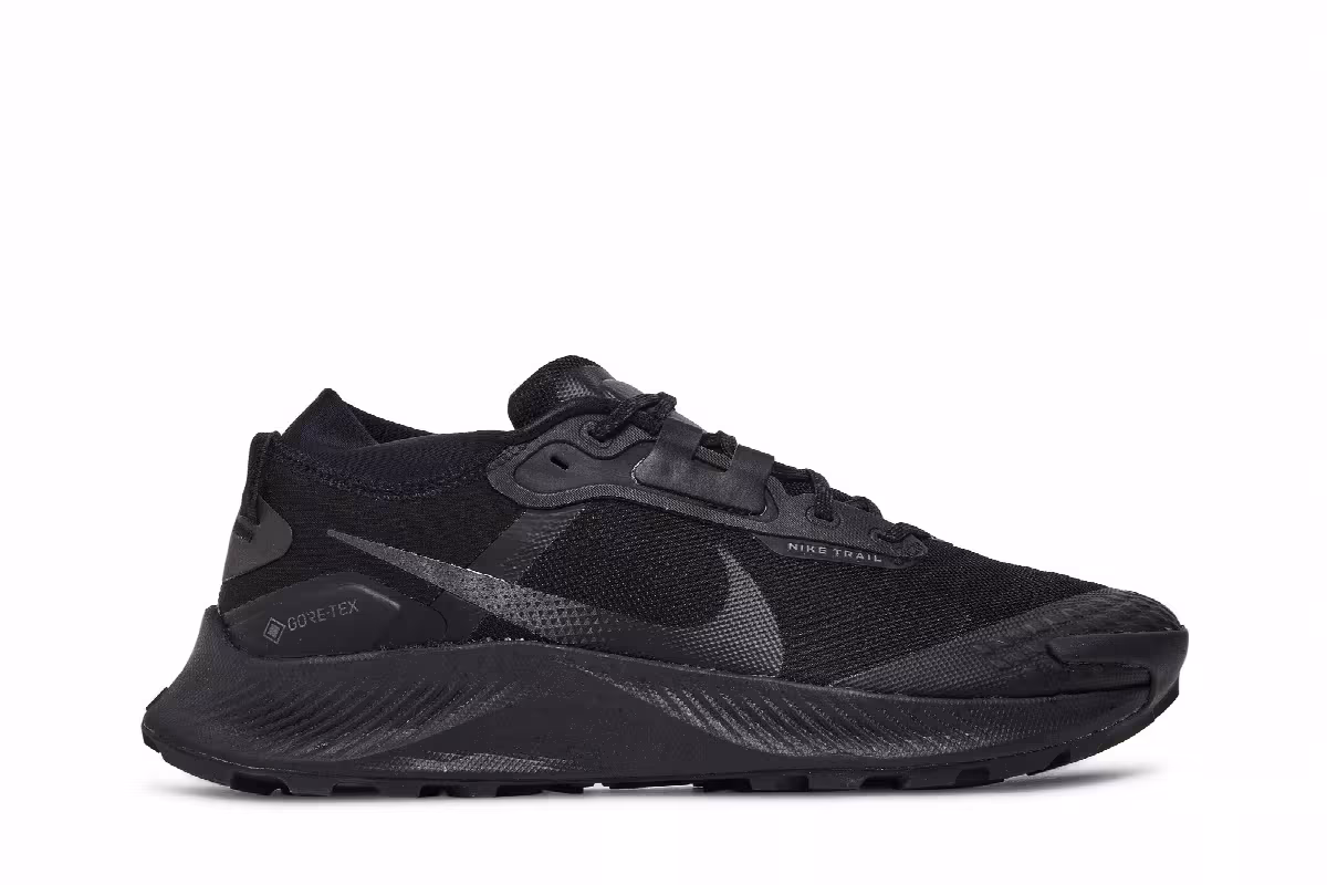 Nike Pegasus Trail 3 GTX Triple Black, view 2
