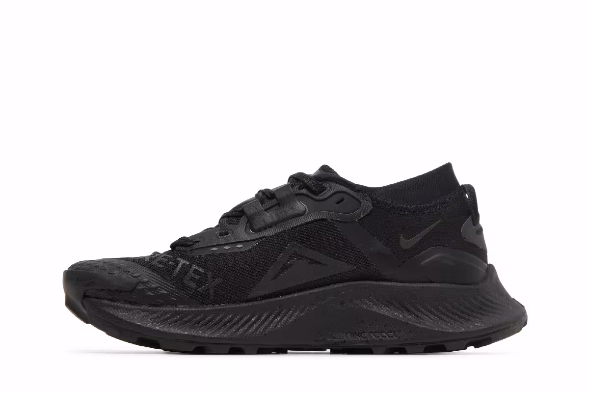 Nike Women's Pegasus Trail 3 GTX Triple Black, view 4