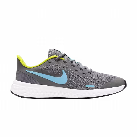 Nike Revolution 5 GS 'Smoke Grey Chlorine Blue'