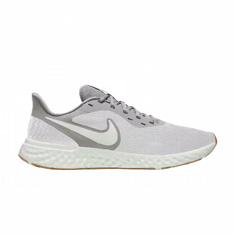 Nike Revolution 5 'Platinum Tint Grey Fog'
